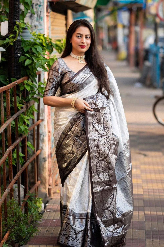 Multi Color Banarasi Woven Soft Silk Saree (50108)