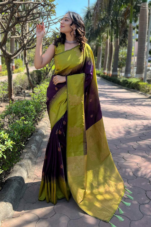 Wine Banarasi Woven Soft Silk Saree (50130_4)