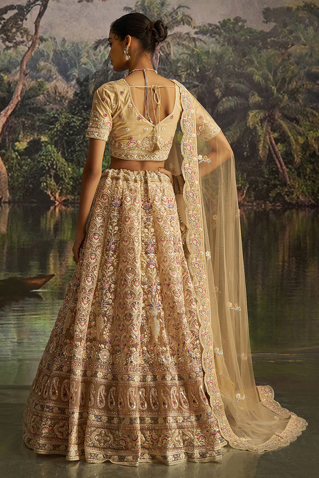 Cream Embroidered Net Lehenga