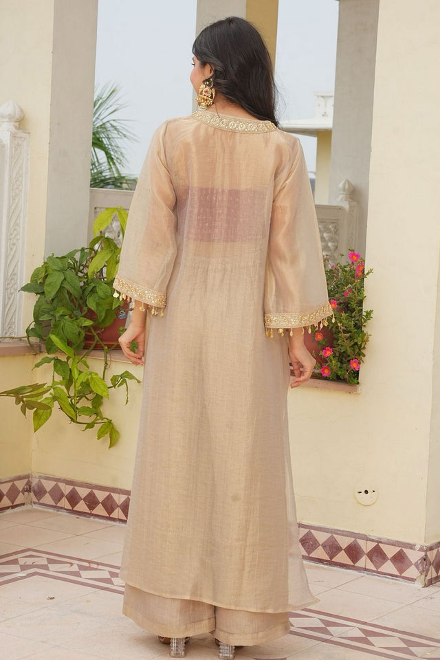 Beige Floral Embroidered Tissue Sharara Suit (ACB2029)