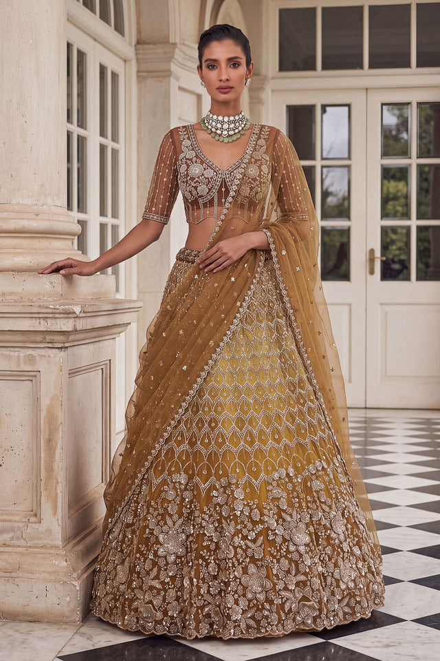 Rust Sequin with Embroidered Net Lehenga (ACB2198)