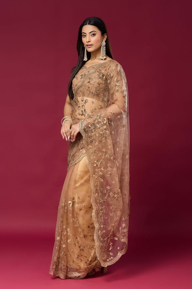Brown Sequin with Embroidered Net Saree (ACB2361)