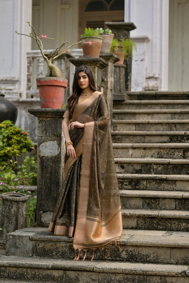 Black Woven Art Silk Saree (Eth_SR_77)