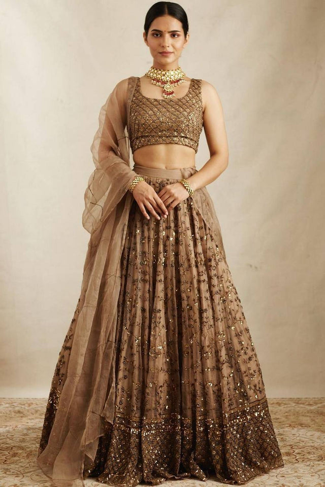 Brown Floral Embroidered Net Lehenga