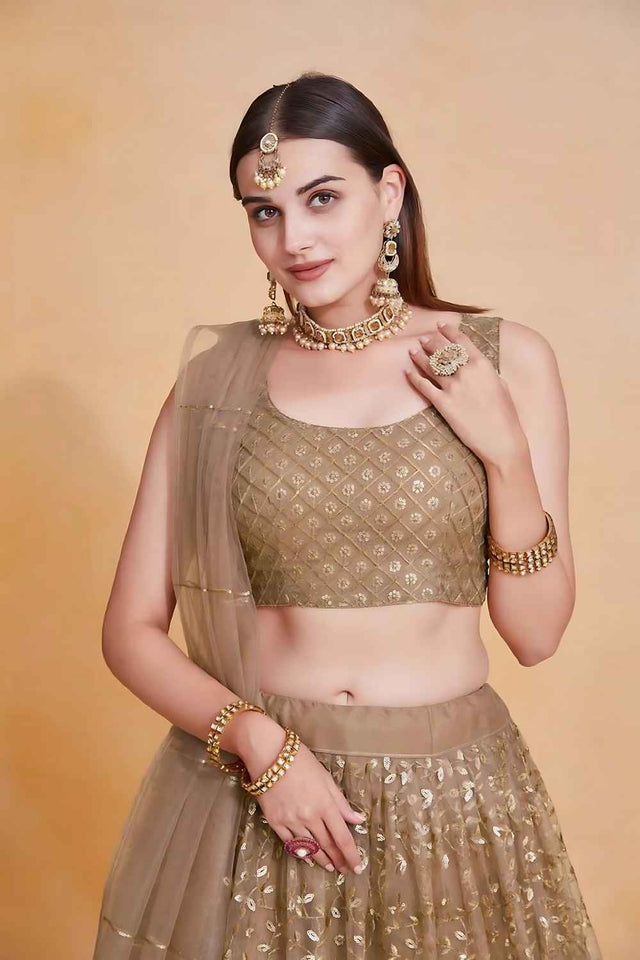 Brown Embroidered Net Lehenga