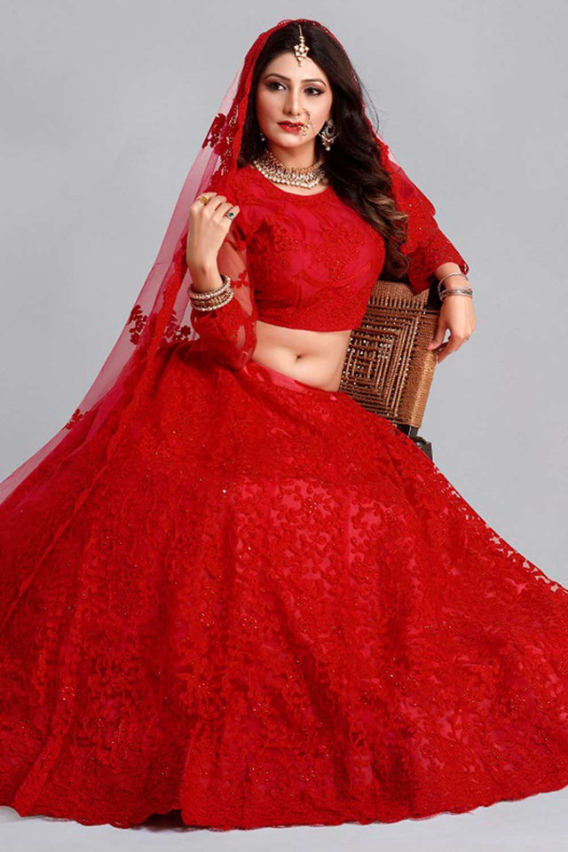 Red Net Embroidered Lehenga Choli