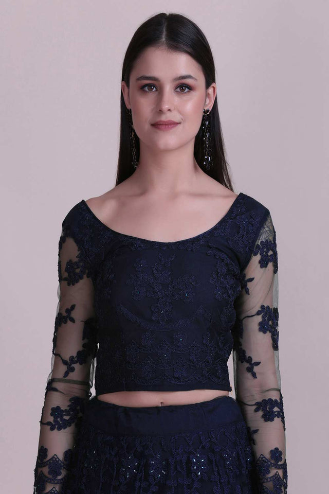 Blue Net Embroidered Lehenga Choli