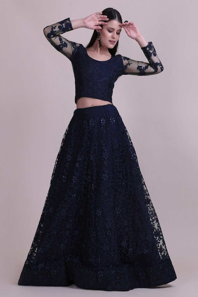 Blue Net Embroidered Lehenga Choli