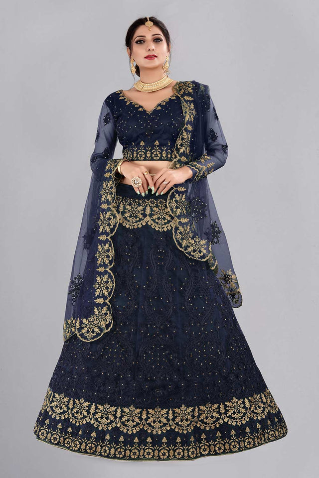 Blue Net Embroidered Lehenga Choli