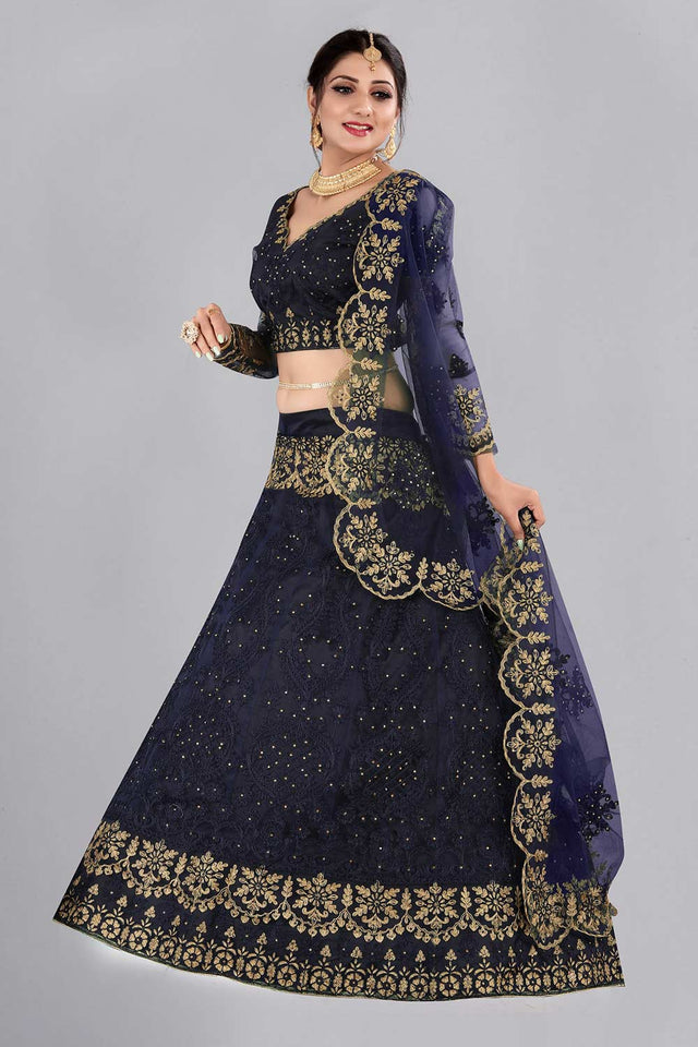 Blue Net Embroidered Lehenga Choli