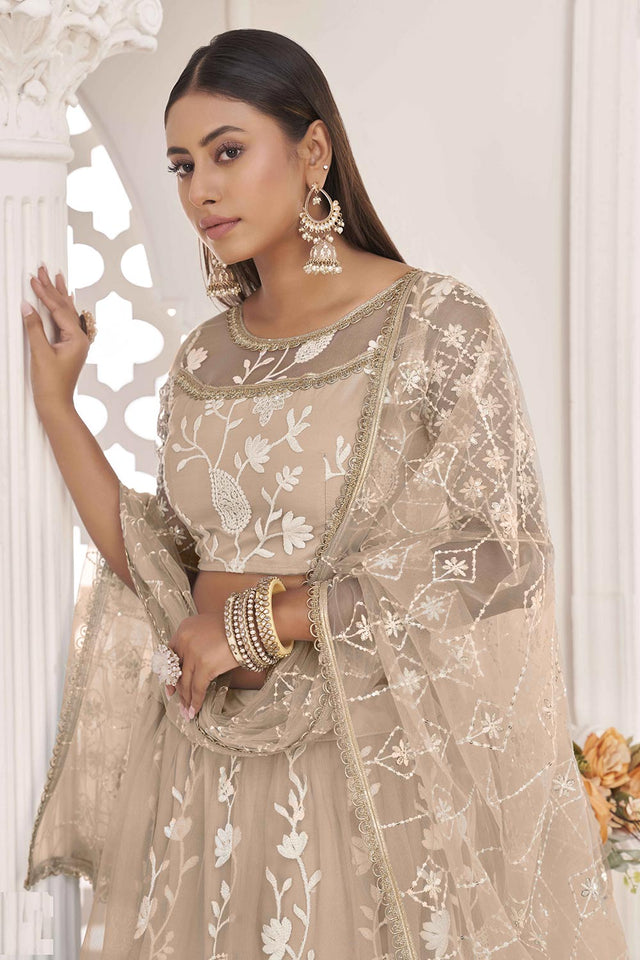 Dusty Chiku Butterfly Net Cotton Thread Sequin Embroidery Lehenga Set