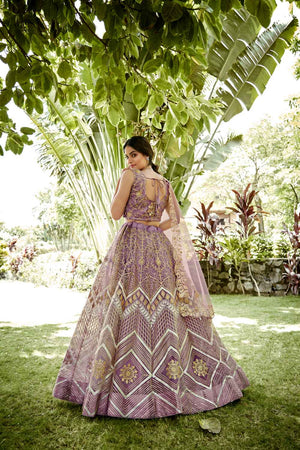 Pink Sequin with embrodered Net Lehenga
