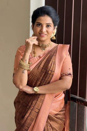 Multi Color Banarasi Woven Soft Silk Saree (50154)