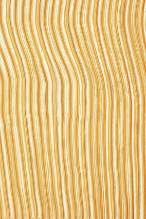 Gold Solid Silk Saree