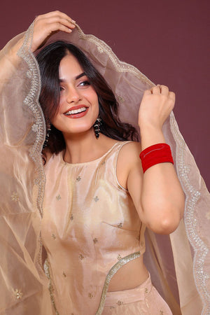 Beige Embroidered Tissue Lehenga (6Beigeshimmer)