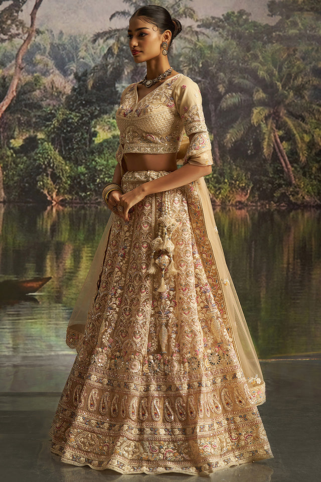 Cream Embroidered Net Lehenga