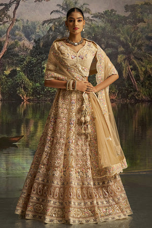 Cream Embroidered Net Lehenga