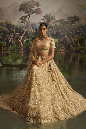Cream Sequin with Embroidered Net Lehenga