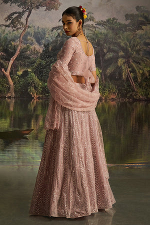Mauve Sequin Net Lehenga