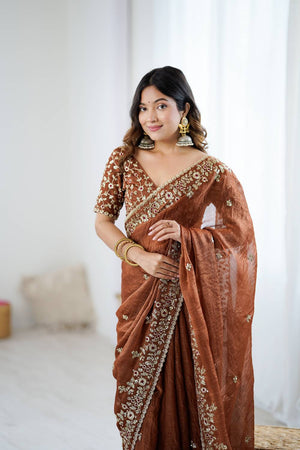Brown Sequin with Embroidered Saree