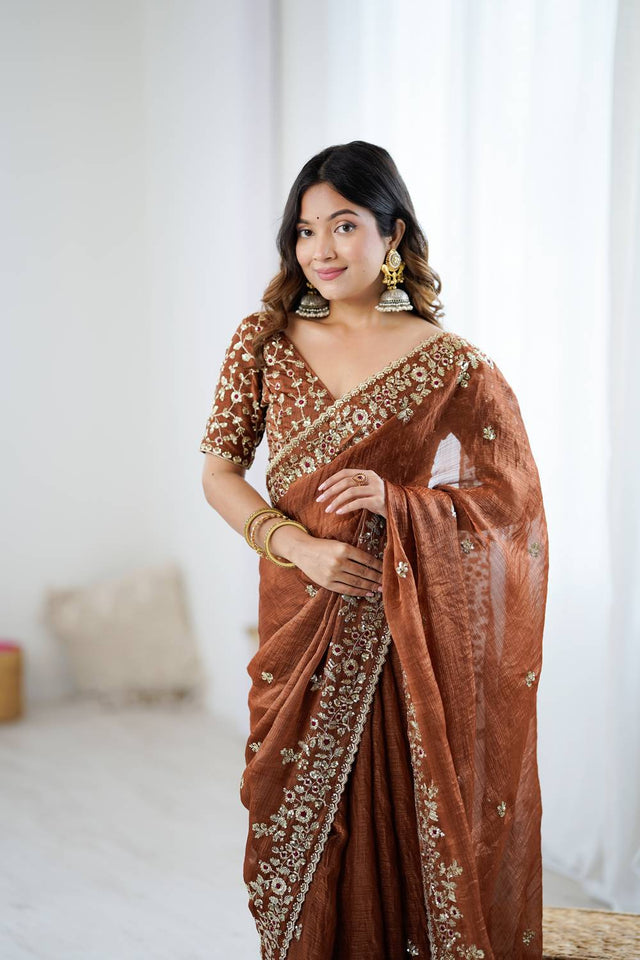 Brown Sequin with Embroidered Saree