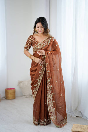 Brown Sequin with Embroidered Saree