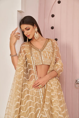 Brown Sequin with Embroidered Net Lehenga (ACA7123)