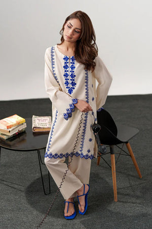 Off-White Floral Embroidered Chanderi Straight Cut Suit (ACA8045)