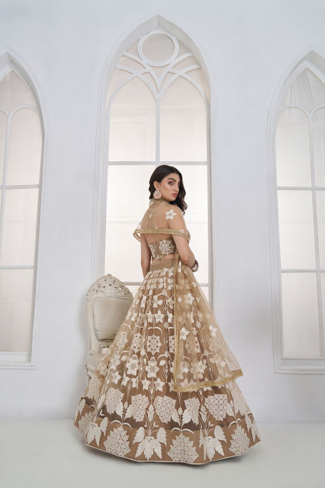 Brown Embroidered Net Lehenga (ACA9416)