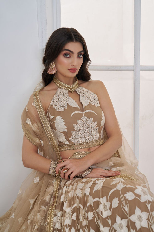 Brown Embroidered Net Lehenga (ACA9416)