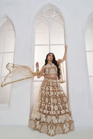 Brown Embroidered Net Lehenga (ACA9416)