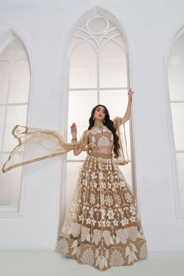 Brown Embroidered Net Lehenga (ACA9416)