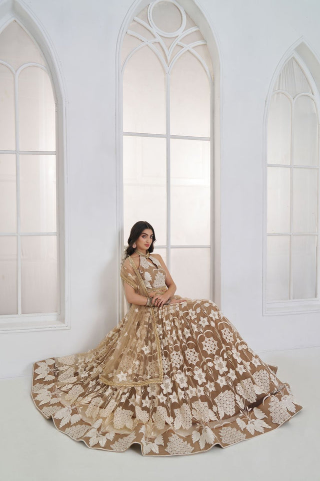 Brown Embroidered Net Lehenga (ACA9416)