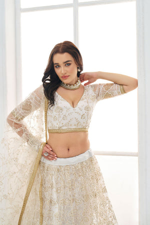 Off White Embroidered Net Lehenga (ACA9417)