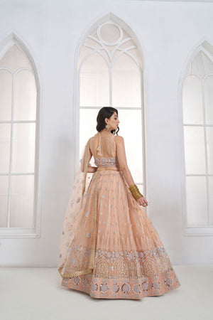 Peach Embroidered Net Lehenga (ACA9419)