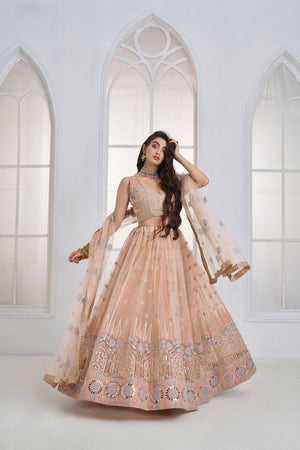 Peach Embroidered Net Lehenga (ACA9419)