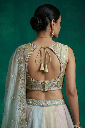 Multi Color Floral Embroidered Organza Lehenga (ACA9438)