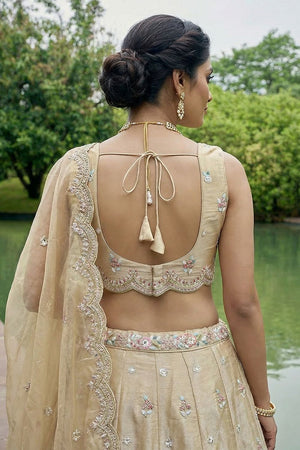 Brown Floral Embroidered Tissue Lehenga (ACA9446)