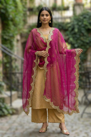 Pink Sequin with Embroidered Organza Dupatta (ACA9725)