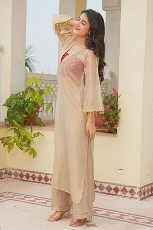 Beige Floral Embroidered Tissue Sharara Suit (ACB2029)