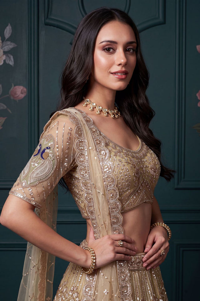 Brown Beads Embossed Net Lehenga (ACB2041)