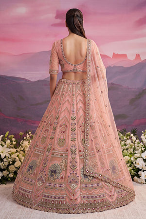Peach Beads Embossed Net Lehenga (ACB2043)