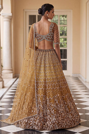 Rust Sequin with Embroidered Net Lehenga (ACB2198)