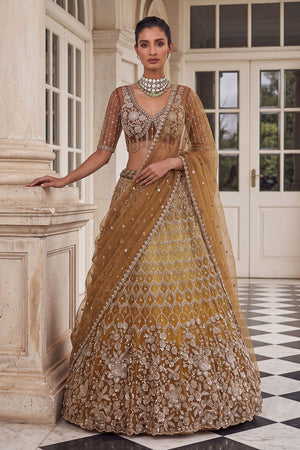 Rust Sequin with Embroidered Net Lehenga (ACB2198)