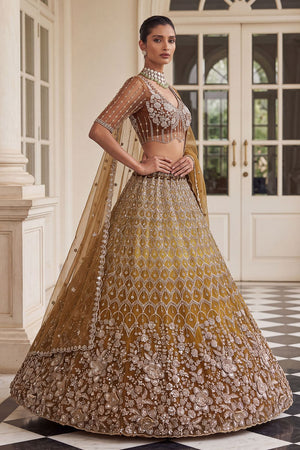 Rust Sequin with Embroidered Net Lehenga (ACB2198)