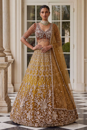 Rust Sequin with Embroidered Net Lehenga (ACB2198)