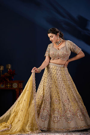 Mustard Heavy Embroidered Tissue Lehenga (ACB2229)