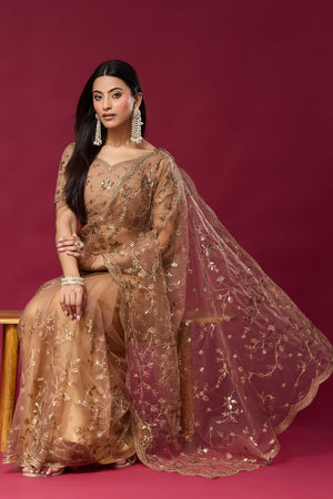 Brown Sequin with Embroidered Net Saree (ACB2361)