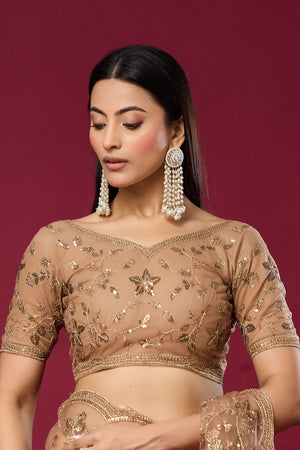 Brown Sequin with Embroidered Net Saree (ACB2361)