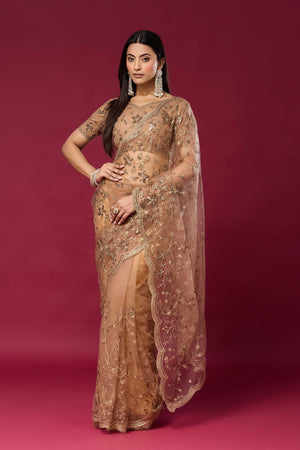 Brown Sequin with Embroidered Net Saree (ACB2361)